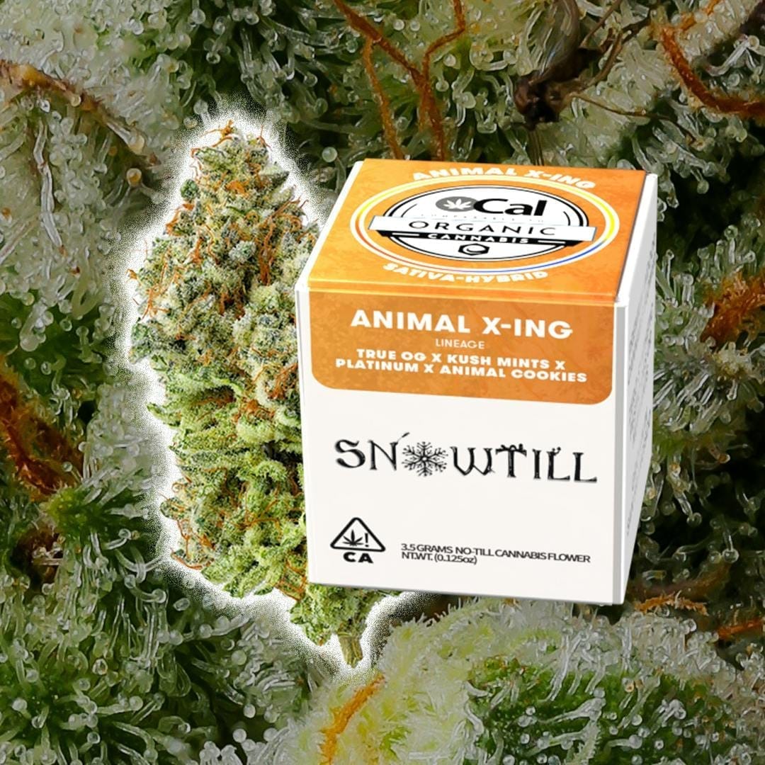 Smoken Promises: Violet Dreams