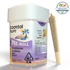 Coastal Sun: Tropicana Cookies