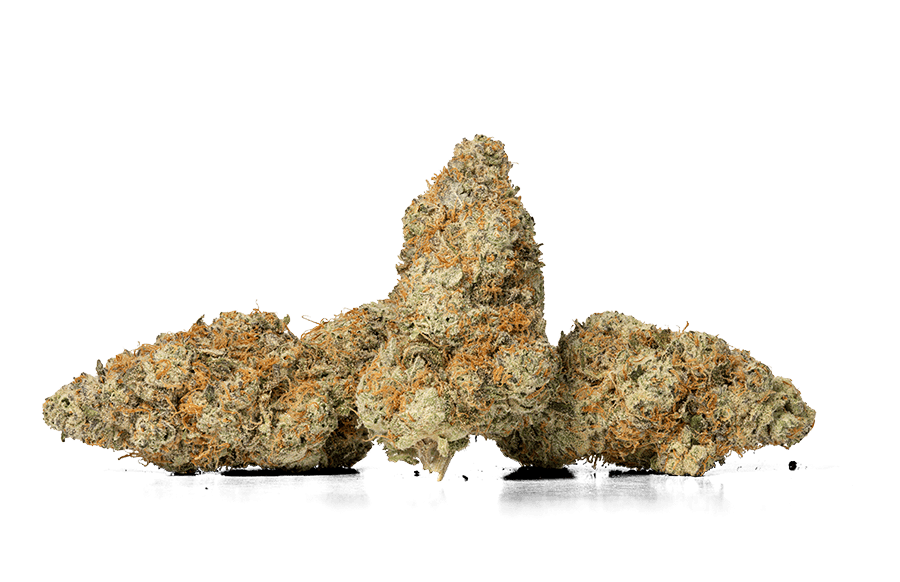 MOHAVE: Mule Fuel