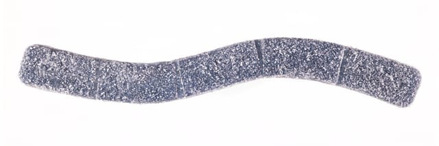 Sour Blue Raspberry | 100mg Rosin Gummy Belts