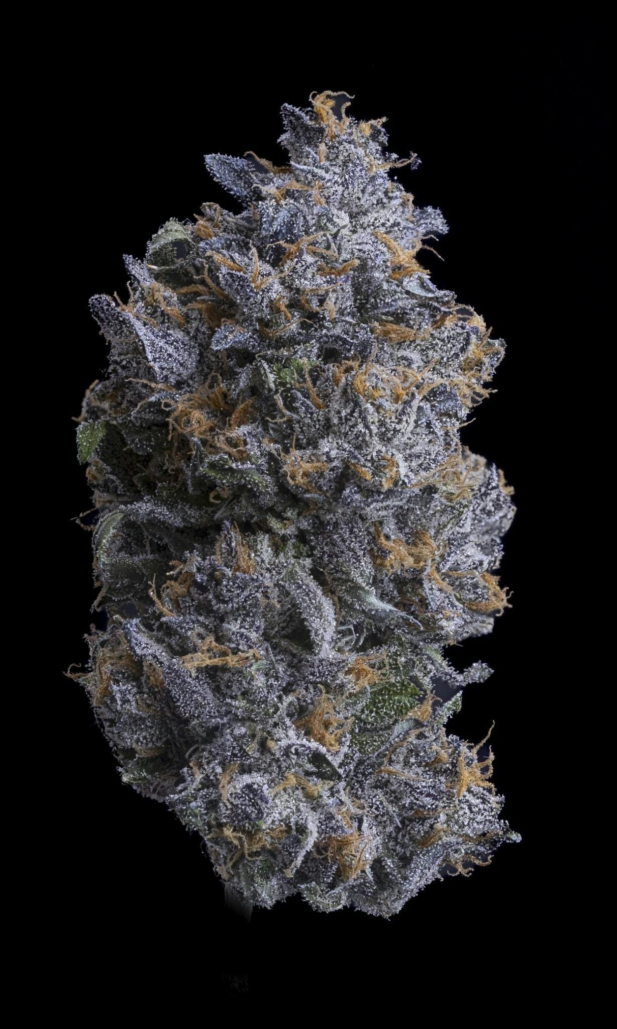 Sticky Status — Bubblegum Runtz