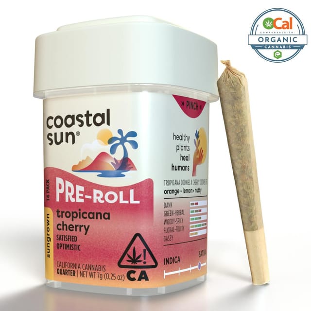 Tropicana Cherry | 7g | .5g x 14 Preroll Pack