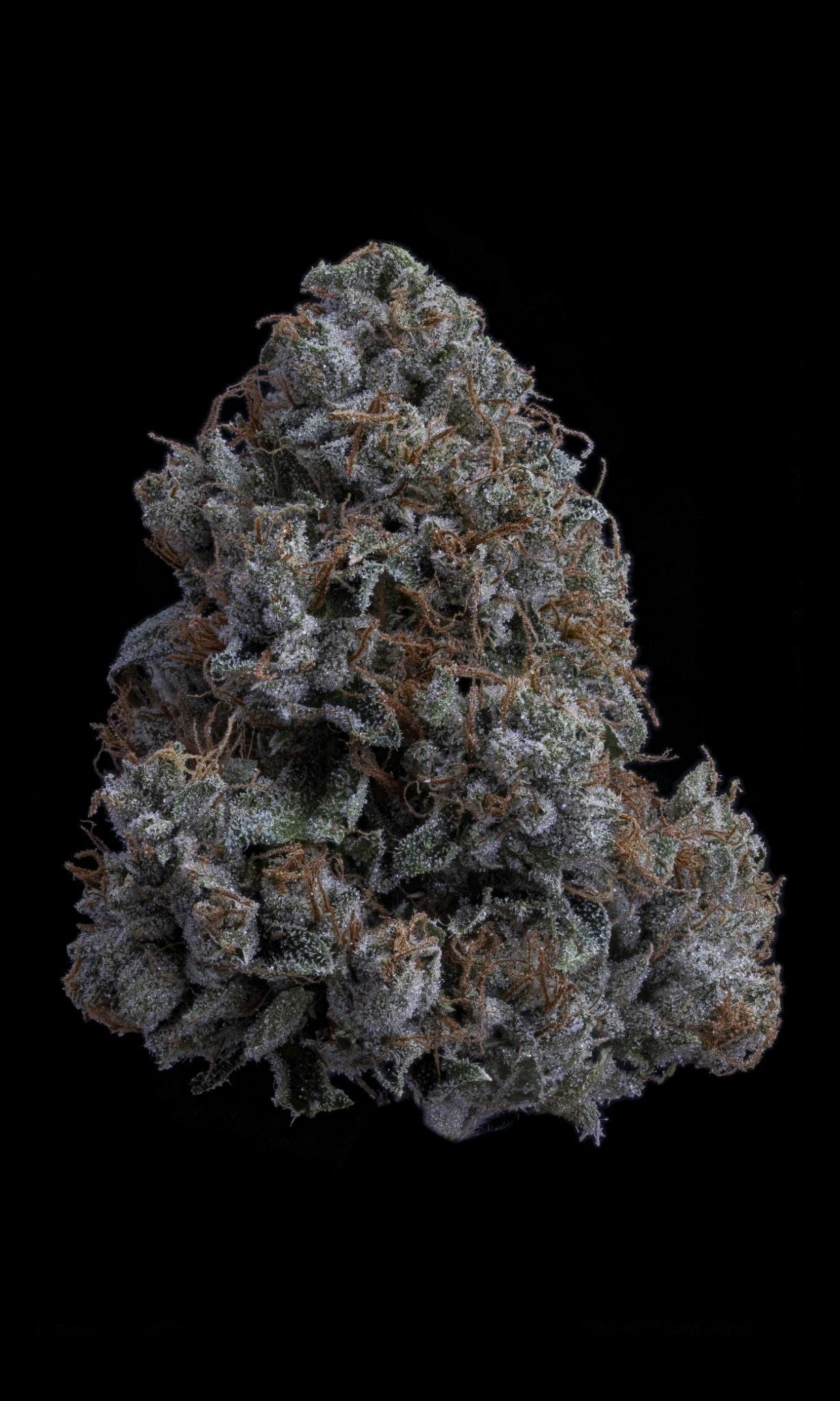 Sticky Status — K1 OG
