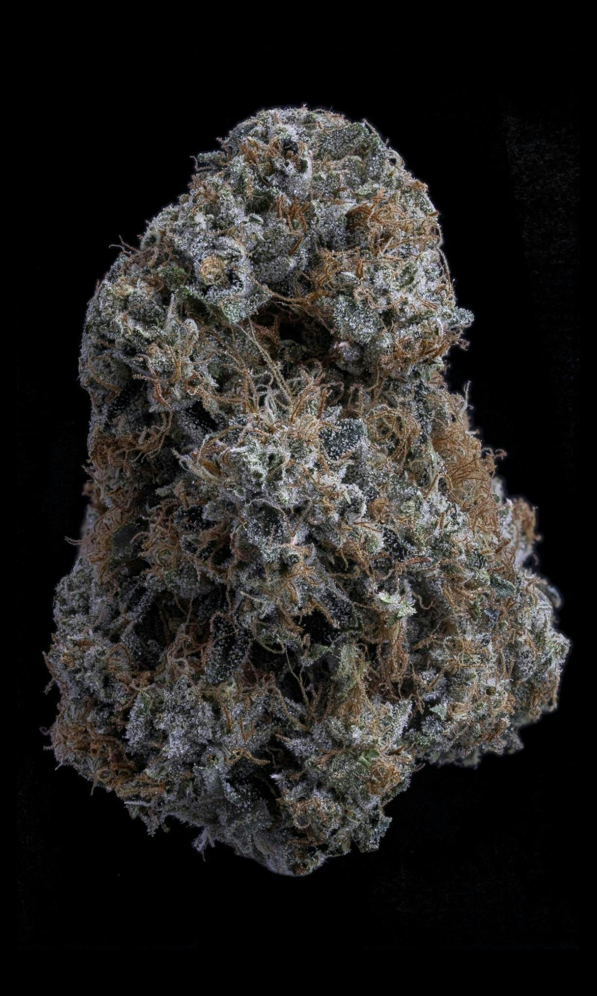 Sticky Status — Gorilla Glue #4