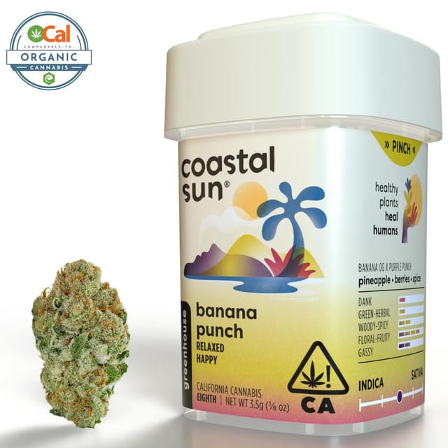 Banana Punch | 3.5g Greenhouse Flower