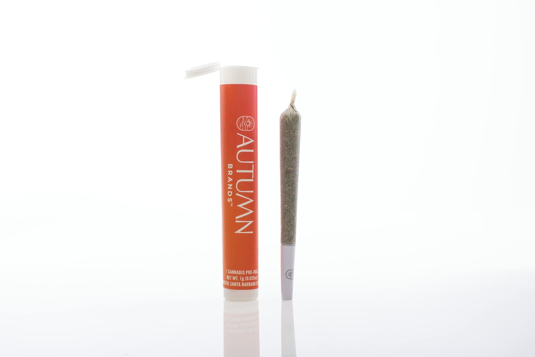 Grape Escape 1g Preroll