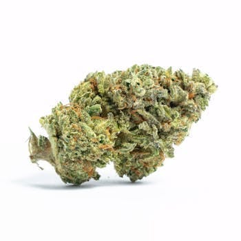 lolo — Zeus OG