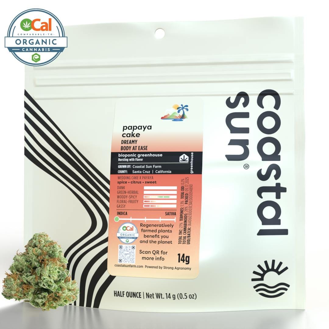 Papaya Cake | 14g