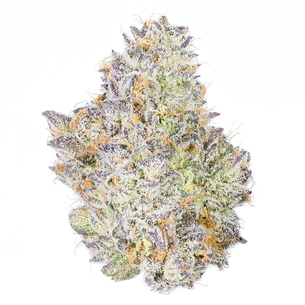 Fig Farms — Blue Face Rainbow Belts