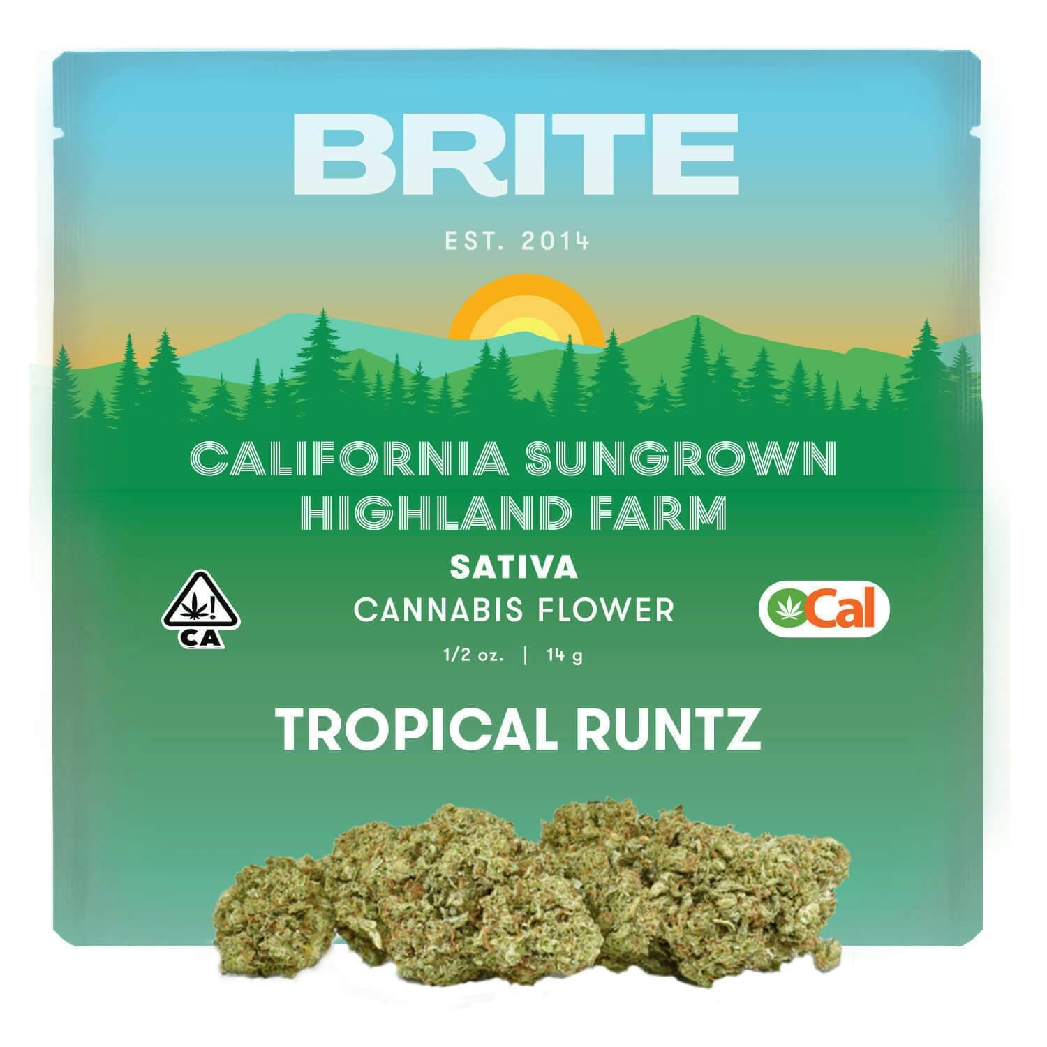 Tropical Runtz 14g