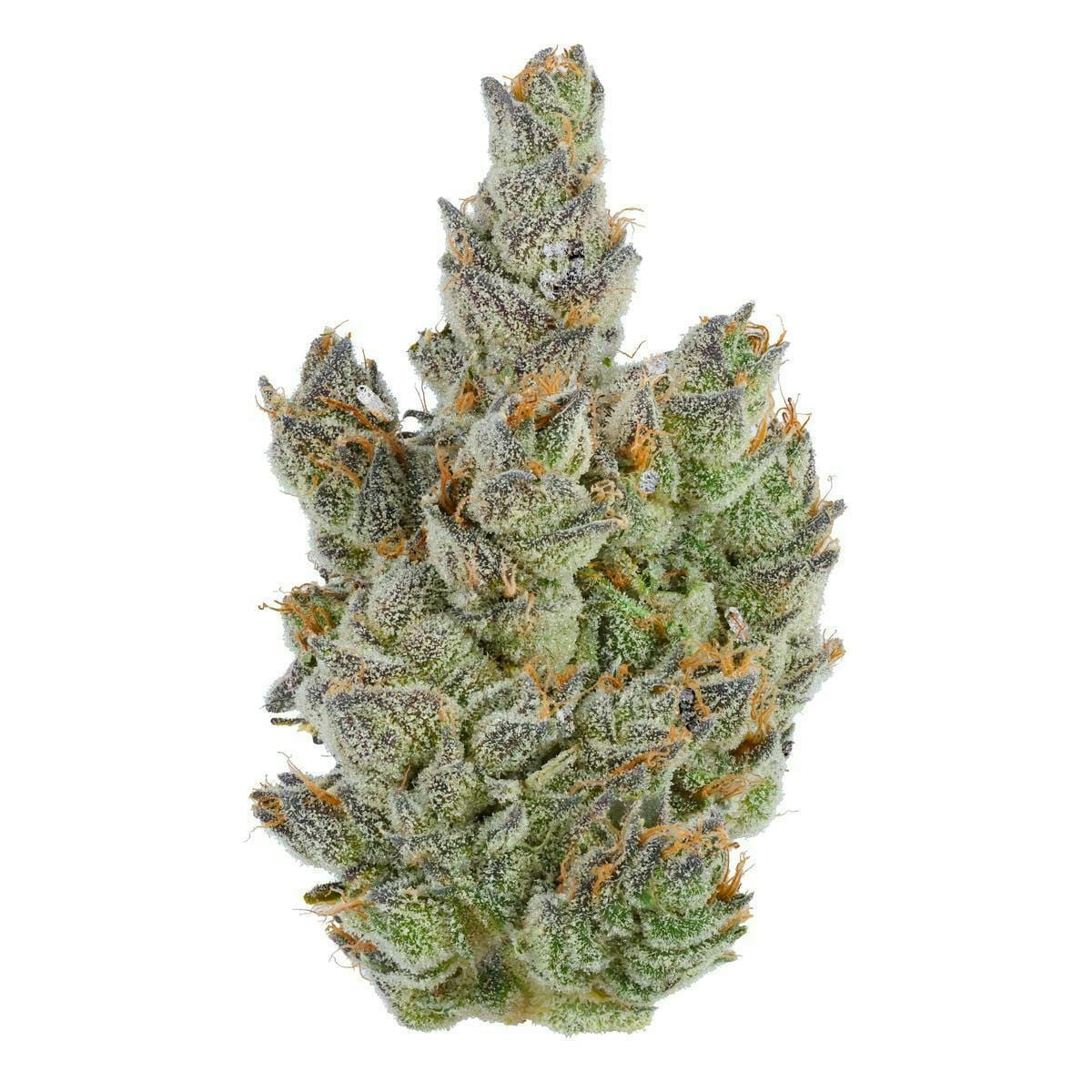 Fig Farms — Moonana Chronic