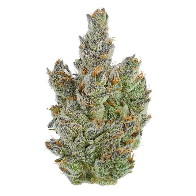 Fig Farms — Moonana Chronic