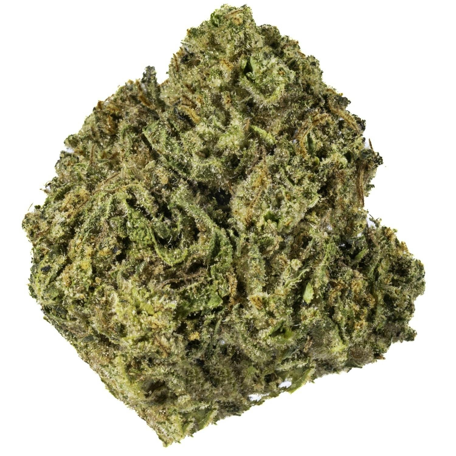 West Coast Cure: Vice City