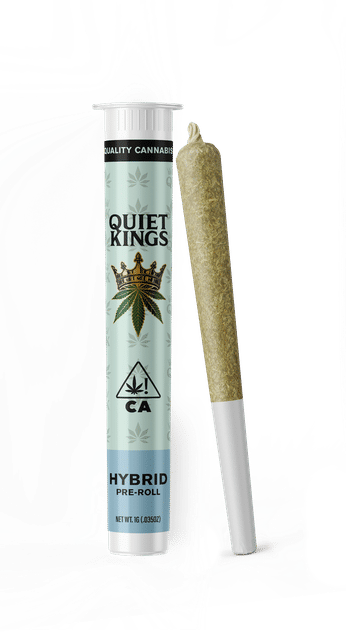 Quiet Kings: Glitter Bomb