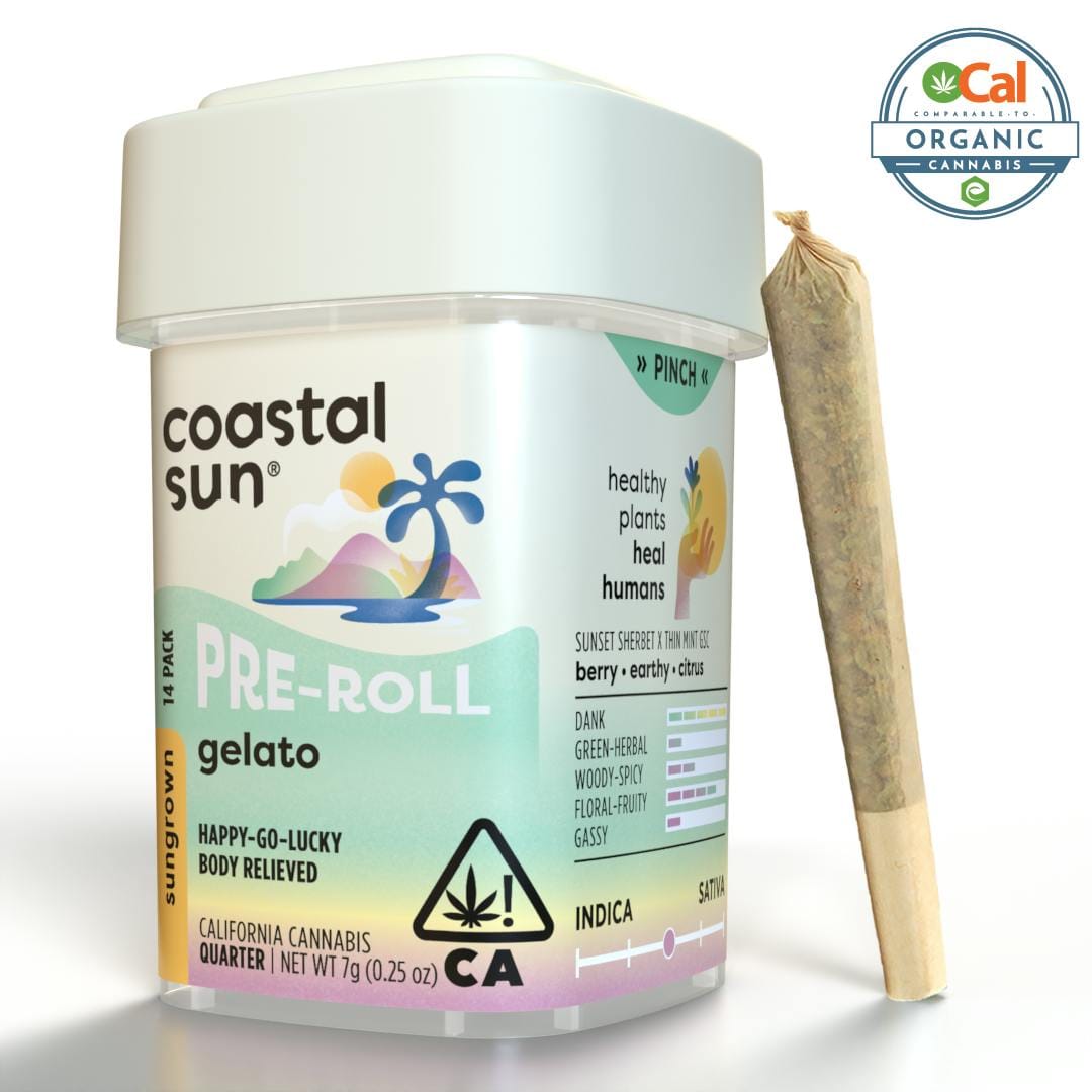 Coastal Sun — Gelato