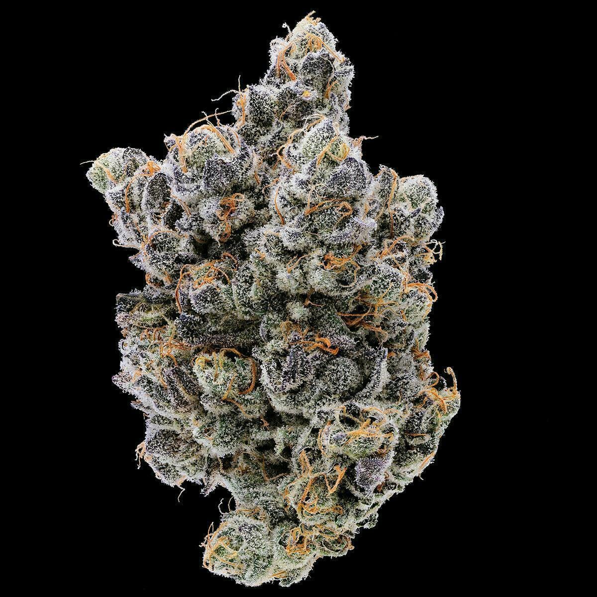 Lucid Blue 3.5g