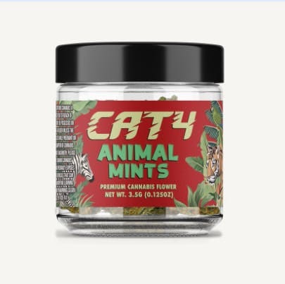 CATALYST — Animal Mints