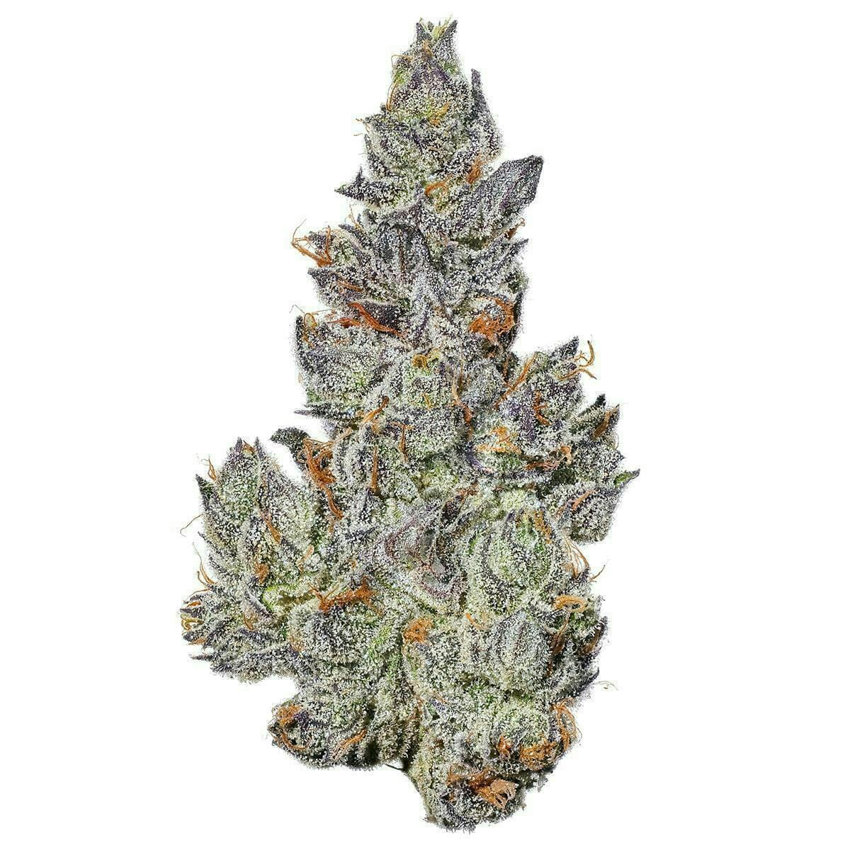 Fig Farms: Strawberry Guava