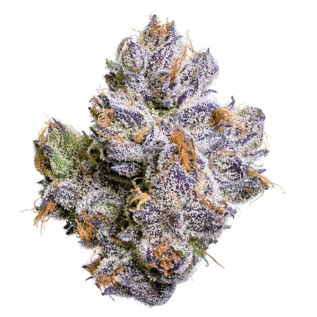 Sour Cherry Pie 3.5g