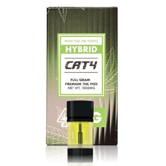 CATALYST — Rainbow Z