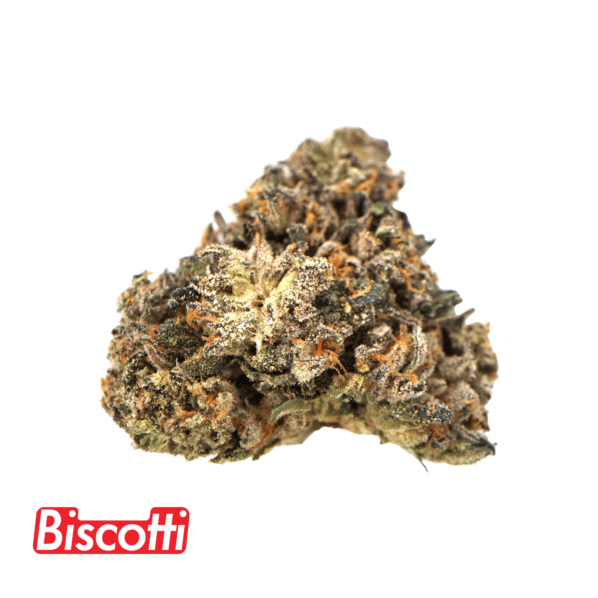 Traditional — Biscotti