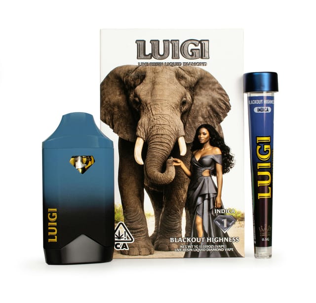 Luigi: Blackout Highness