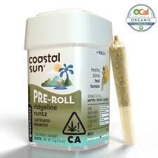 Coastal Sun — Ridgeline Runtz