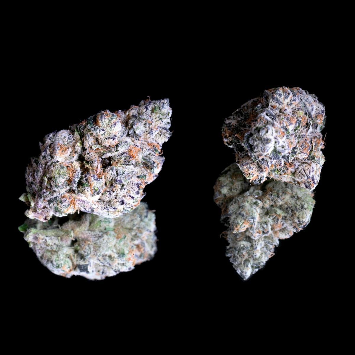 Shangri-La 14g Smalls