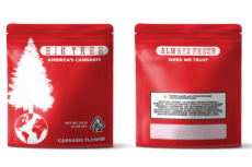 Big Tree — Lemon Meringue