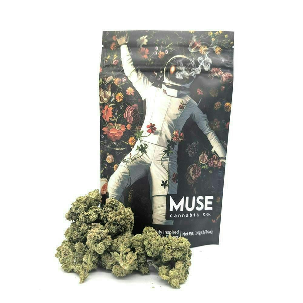 GMO 14g