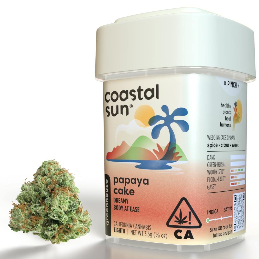 Coastal Sun: Papaya Cake