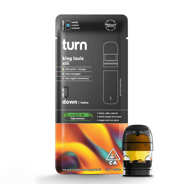 turn: King Louis Xiii