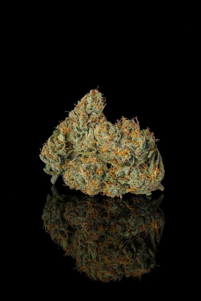 Decibel Gardens: Grape Jet Fuel