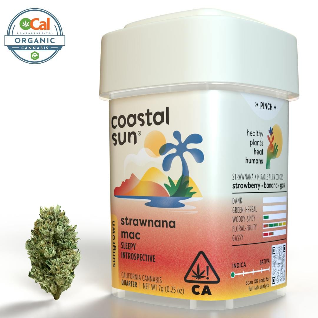 Coastal Sun: Strawnana MAC