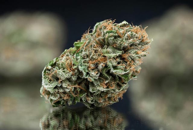 Nameless Genetics: Mega Black Cherry