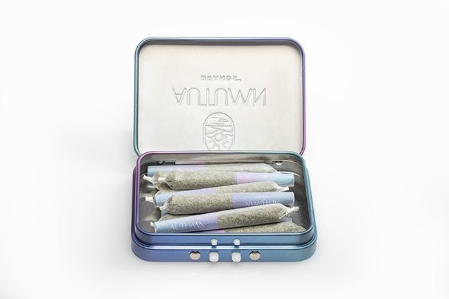 Toad Venom 3.6g Preroll 10 Pack