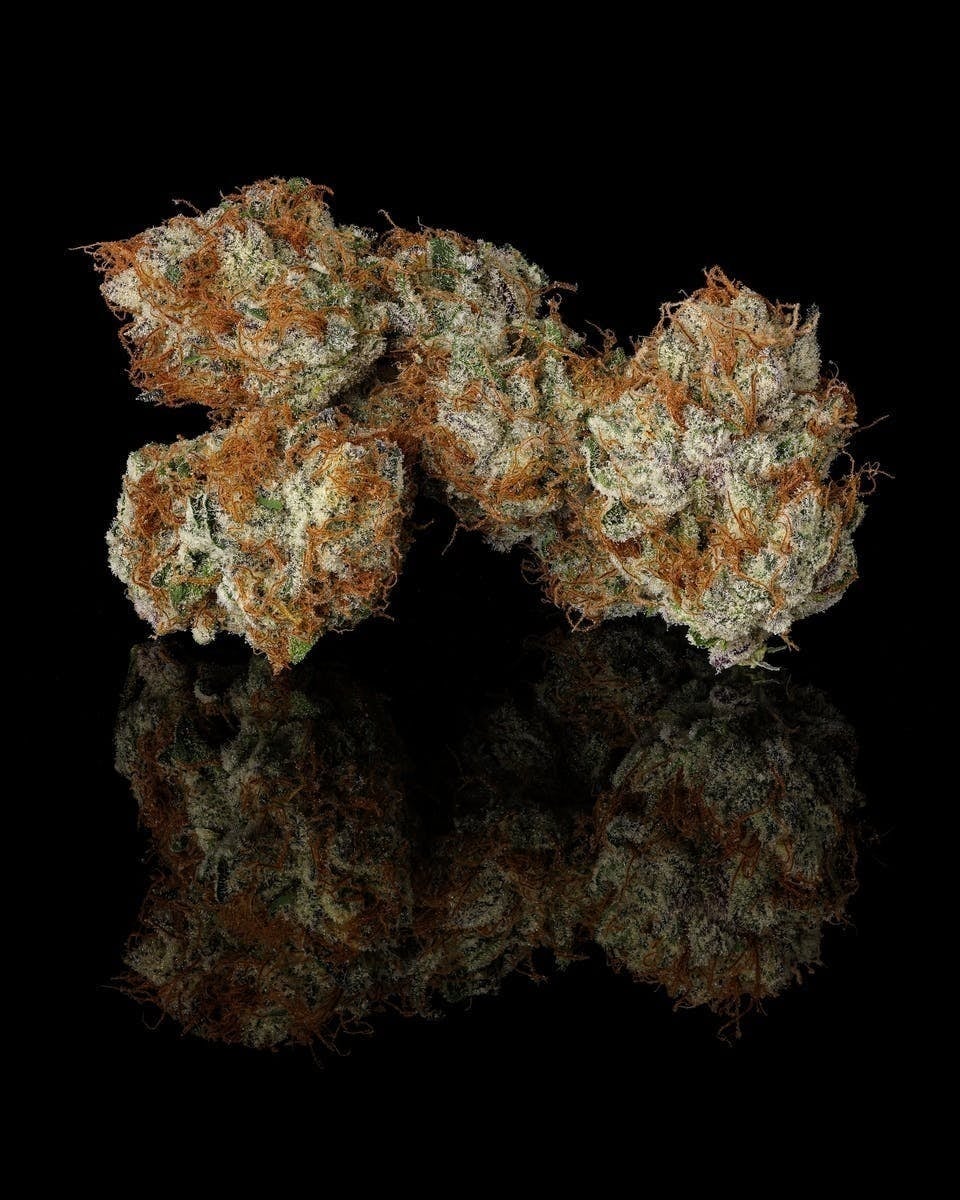 Decibel Gardens: Water Peach Sorbet