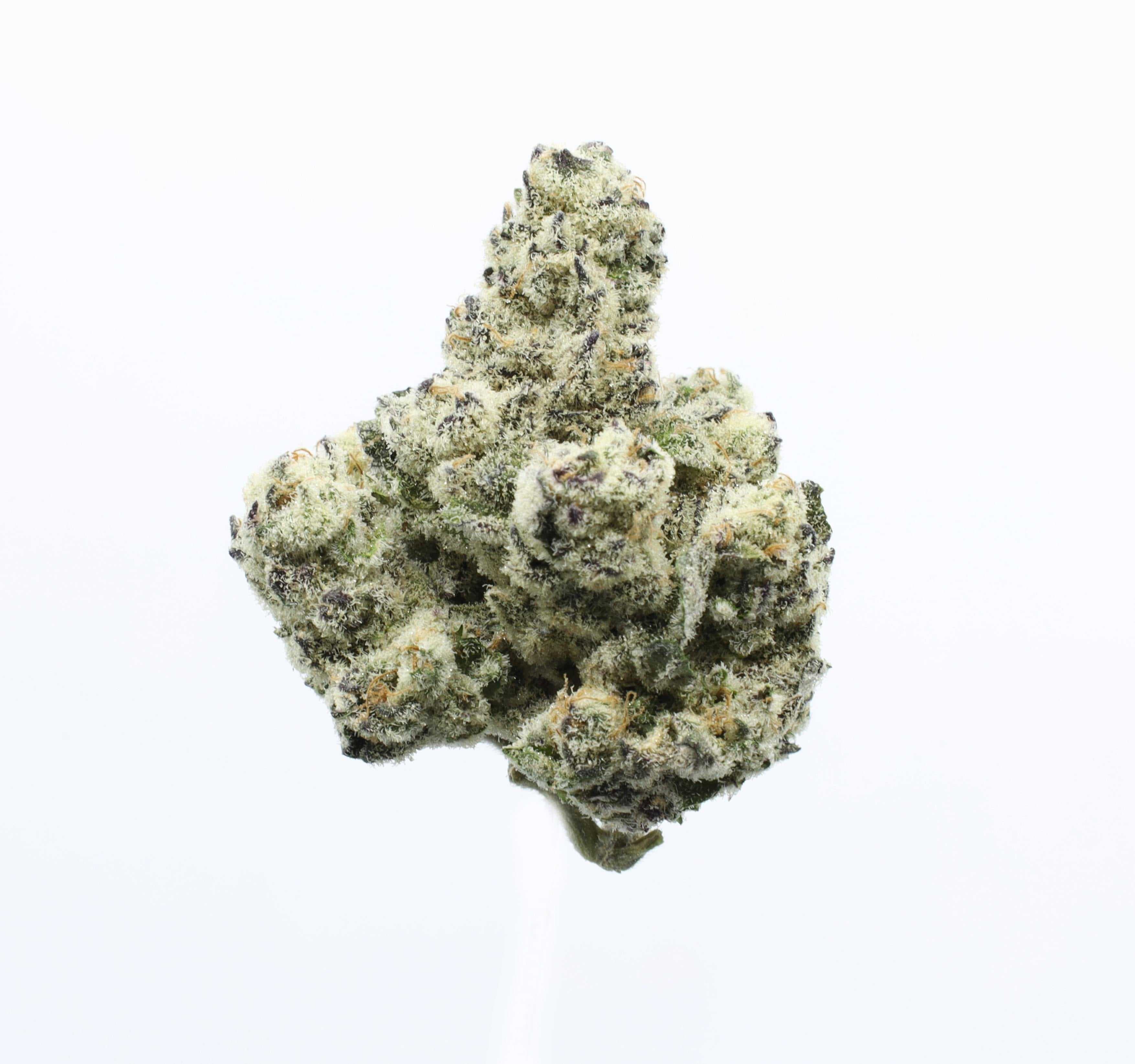 UpNorth: Purple Kush