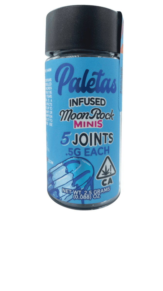 Paletas: Blueberry Pancake