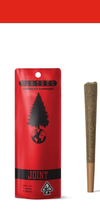 Big Tree: Mango Haze