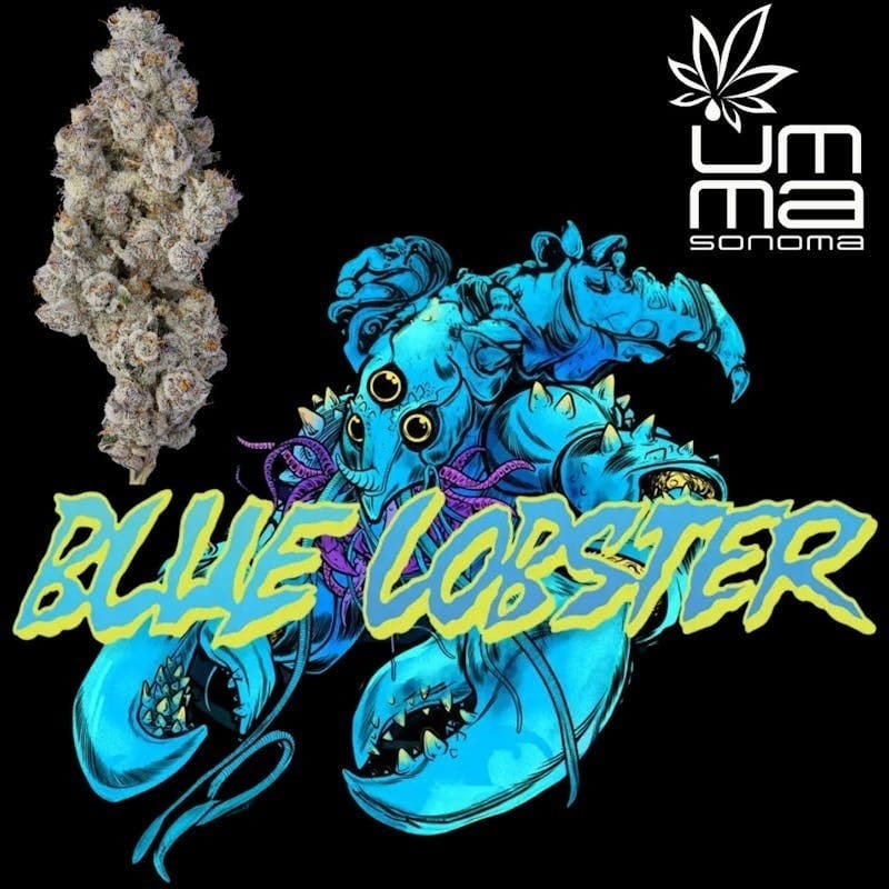 Blue Lobster 3.5g