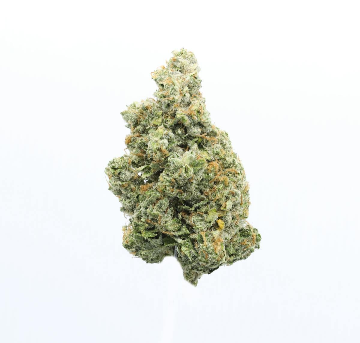 UpNorth: Nyc Diesel