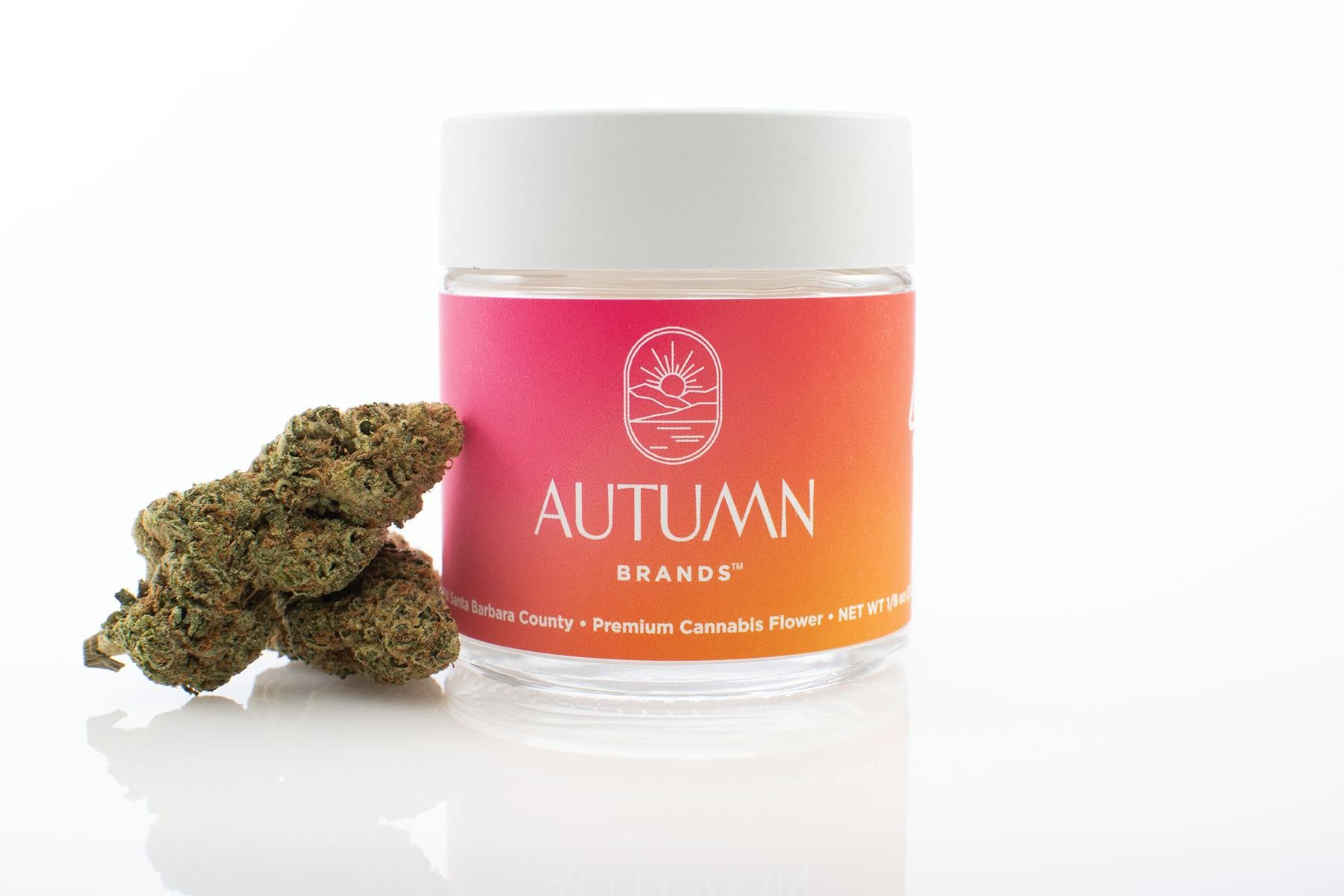 Autumn Brands: Mule Fuel