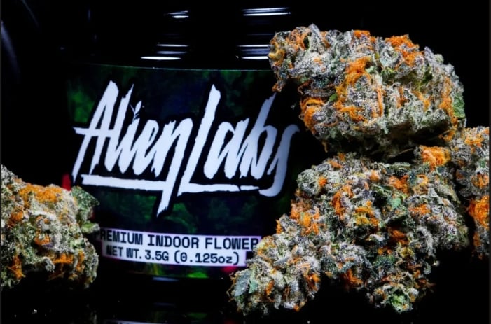 Alien Labs: Permanent Shade