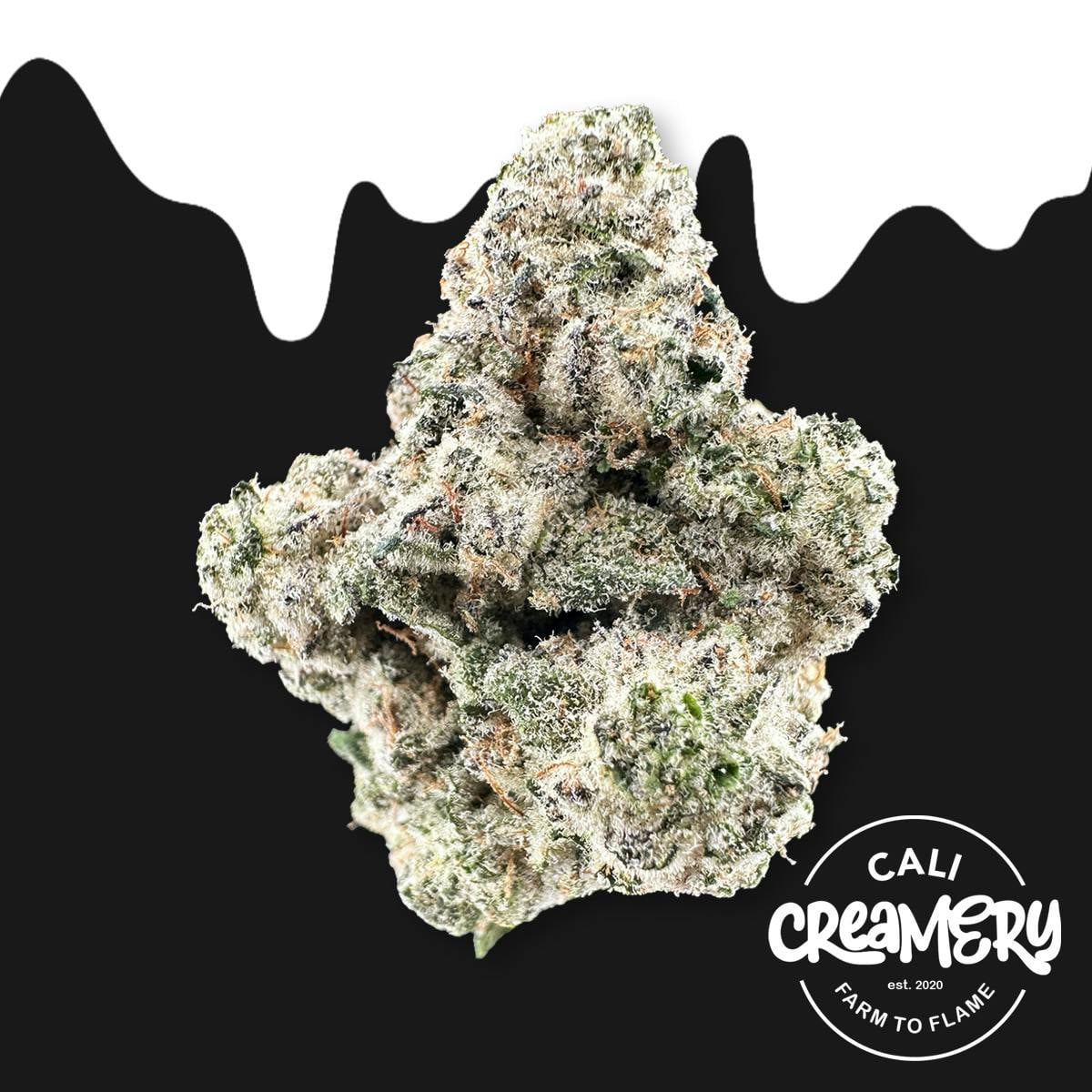 Cali Creamery: Golden Ticket