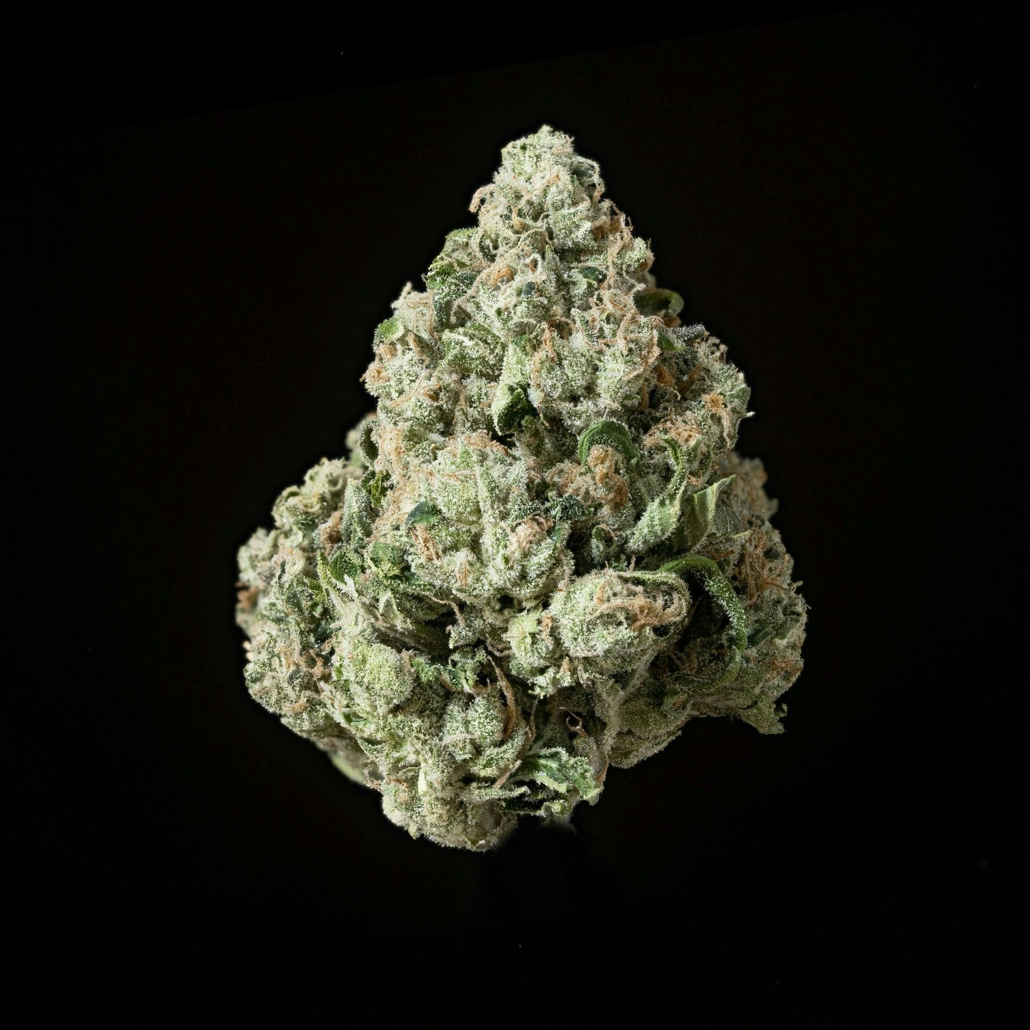 Sticky Status: Lemon Diesel