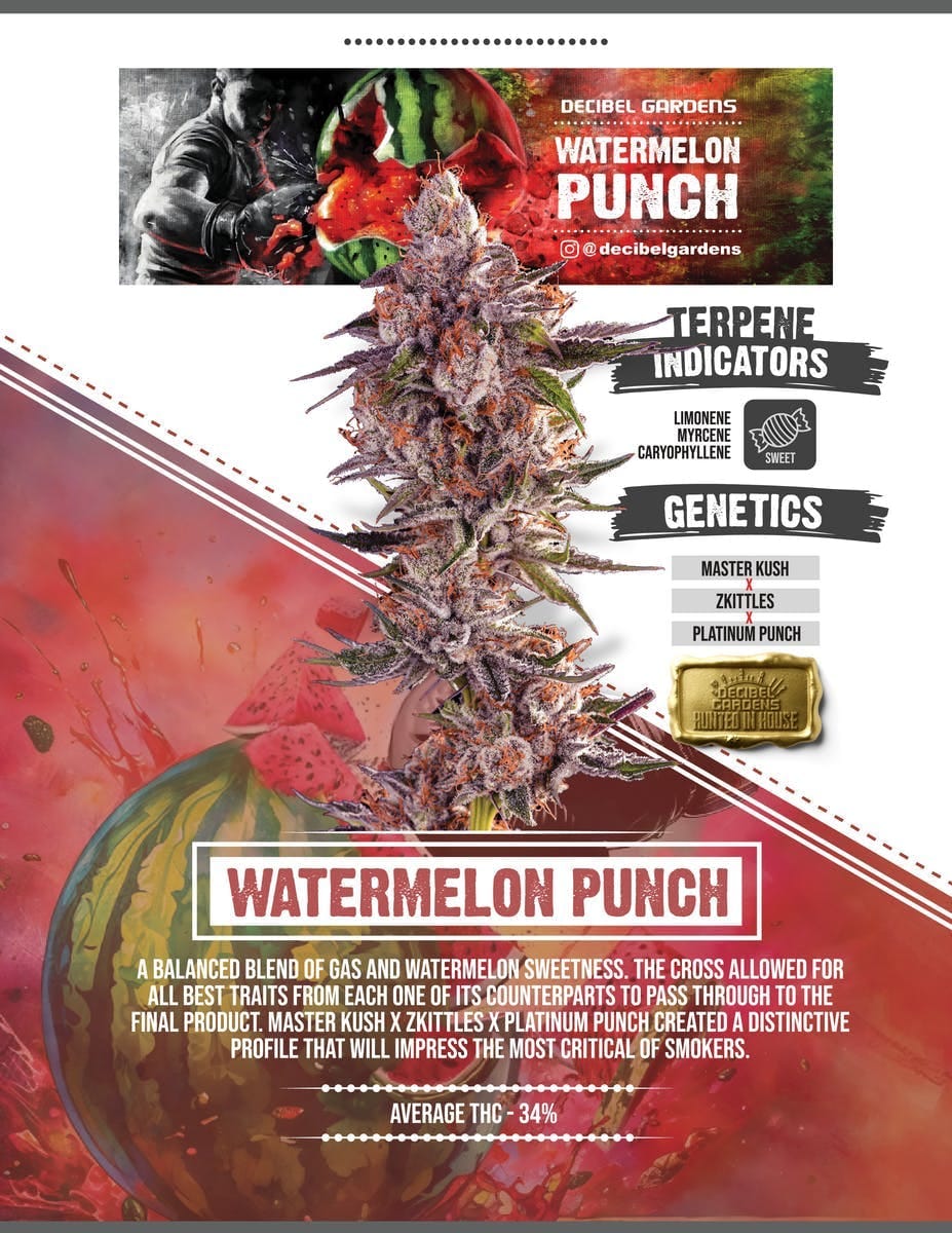 Watermelon Punch 14g