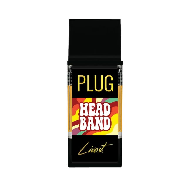 PlugPlay: Headband
