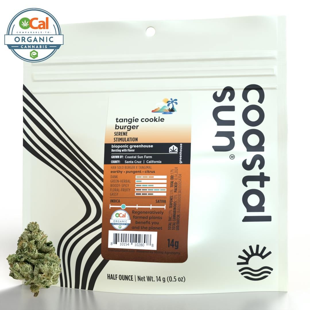 Coastal Sun: Tangie Cookie Burger