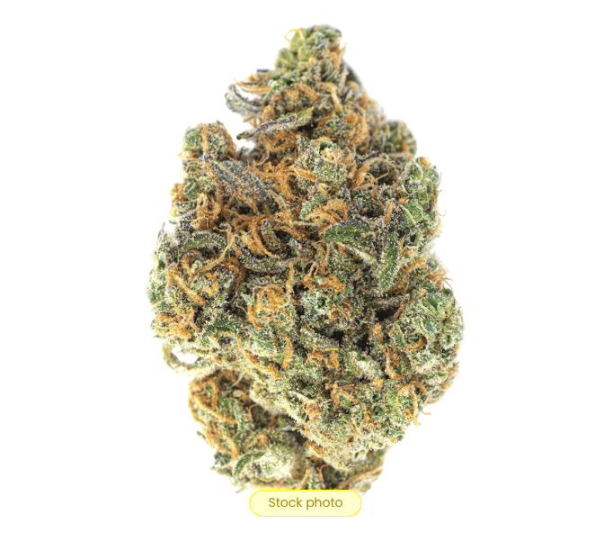 The Fight Smoker Club: Durban Poison